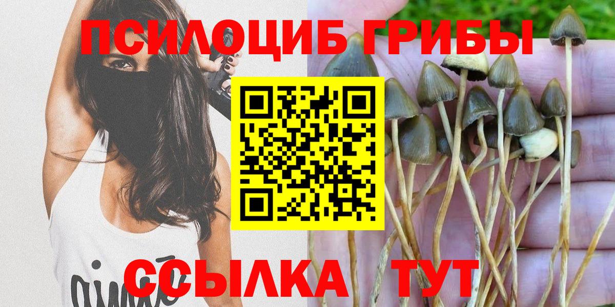 Галлюциногенные грибы ЛСД  Вход с VPN  Псилоцибиновые грибы ЛСД  Михайловск 